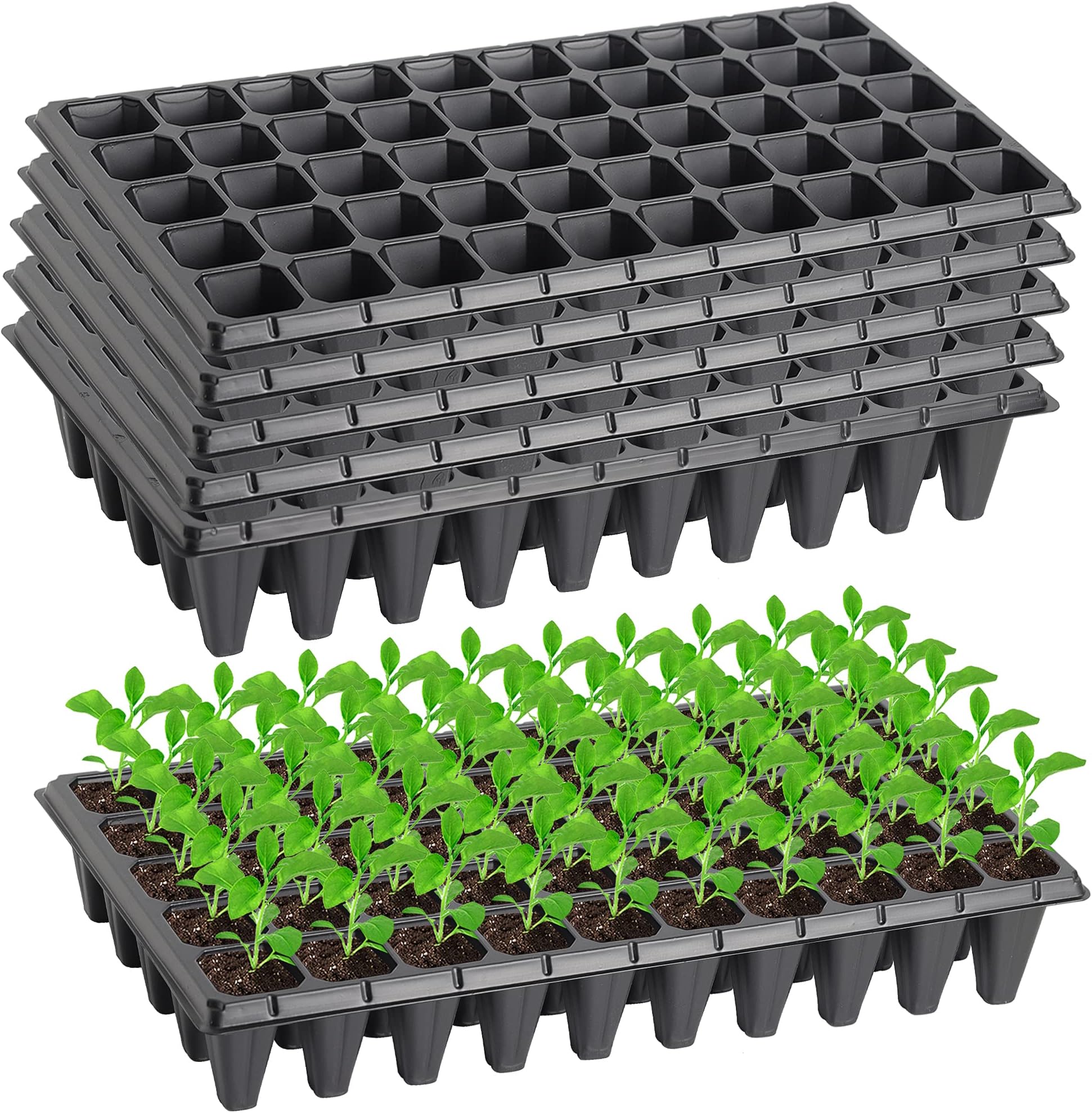 Compostable Seedling Trays for Nurseries