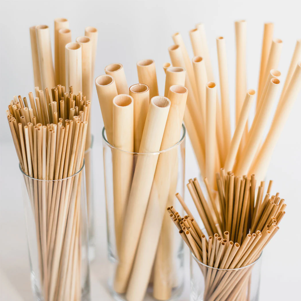 Compostable PLA Straws